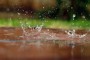 Yağmur Damlasının Büyülü Yolculuğu | bimakale.com